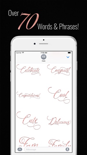 Elegant Messages Rose Gold(圖2)-速報App