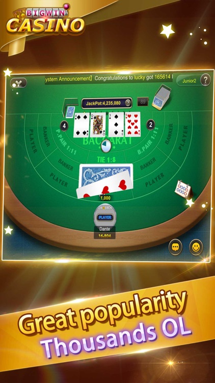 Big Win Casino-Blackjack,Roulette,Free Cards Poker screenshot-3