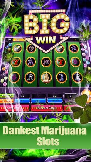 Dream of Weed Slot Machines – Free Slots & Casino(圖3)-速報App