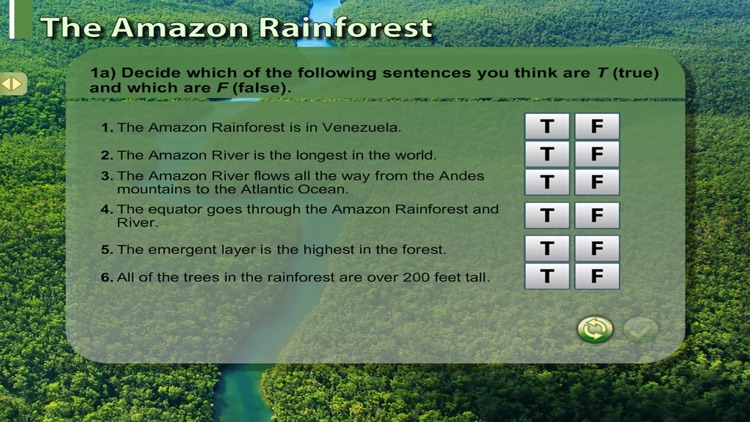 AmazonRainforestII