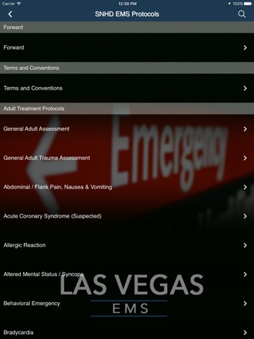 LVEMS screenshot 3