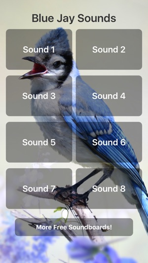 Blue Jay Sounds(圖1)-速報App