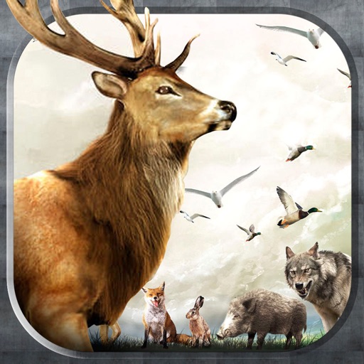 Deer Hunting Challenge: Wild Animal Hunter Icon