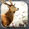 Deer Hunting Challenge: Wild Animal Hunter