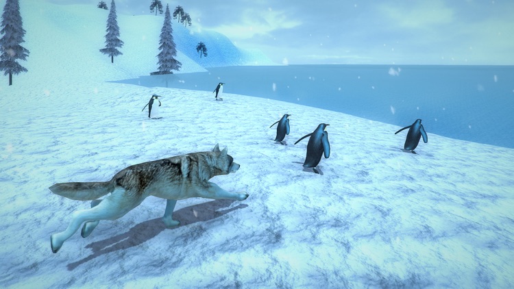 Life of Snow Wolf screenshot-4