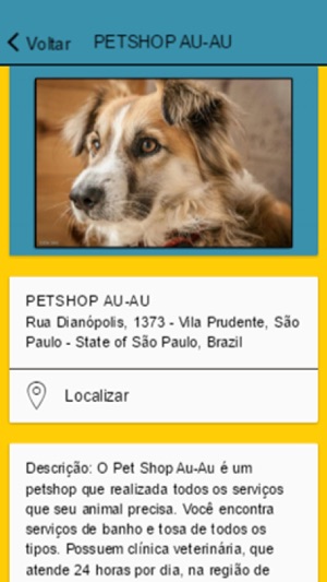 PETSHOP 360(圖3)-速報App