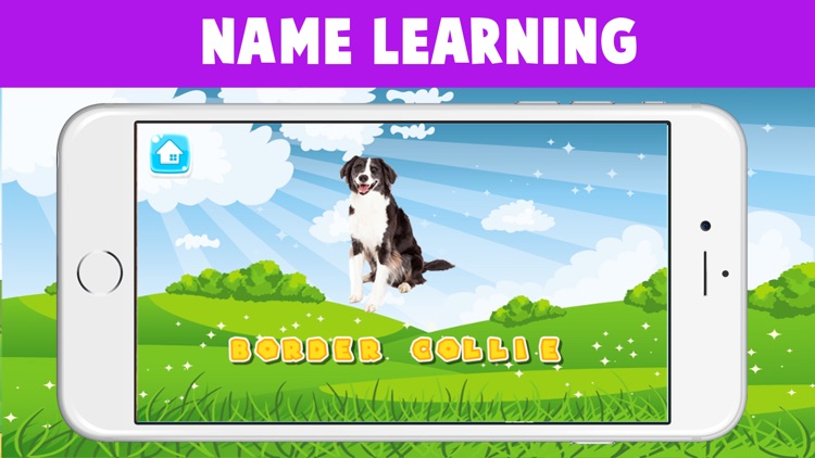 World Popular Dog Breeds Name Preschool Learning