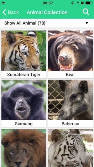 Surabaya Zoo(圖5)-速報App