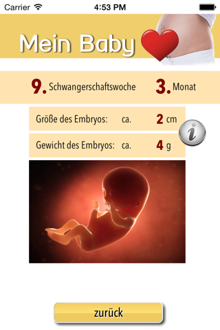 Mein Baby - Ich bin schwanger - náhled