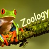 Zoology Glossary-Study Guide and Terminology