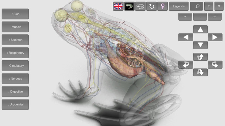 3D Frog Anatomy screenshot-4