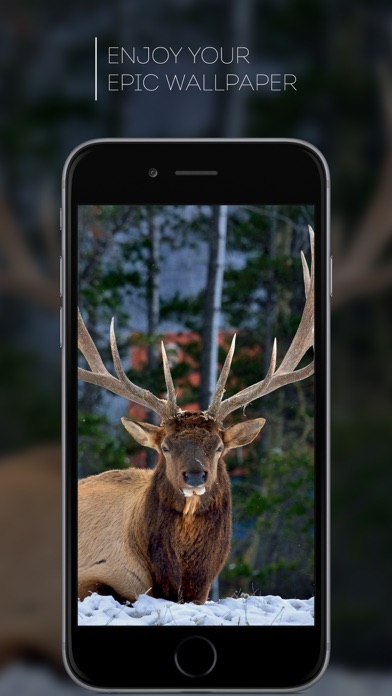 Deer Hunting Phone Wallpaper - New Wallpapers