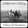 Montana Timeline