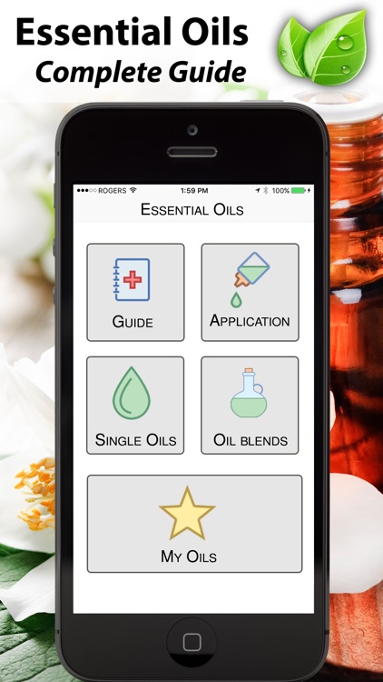 Essential Oils Reference Guide to Young Living Oil