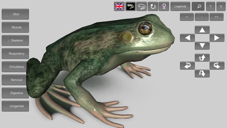 3D Frog Anatomy screenshot-0