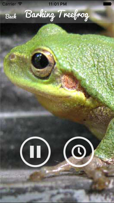 How to cancel & delete Frog  Sounds - Toad, Greenhouse Frog from iphone & ipad 3