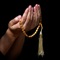 iDu’a Pro is an application for iPhone, iPod and iPad in order to learn Islamic supplications