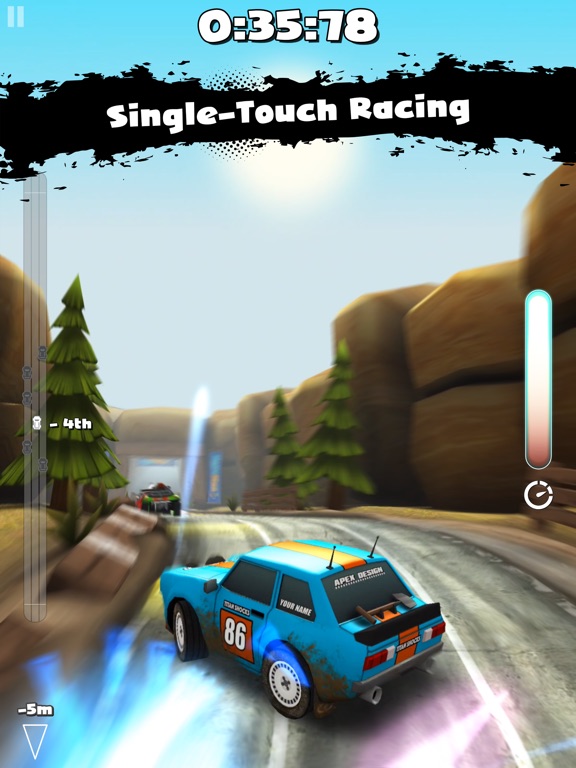 Rally Run на iPad