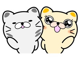 It is a cat sticker