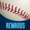 Tampa Bay Baseball Louder Rewards
