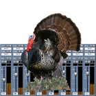 Turkey Call Mixer