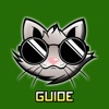 Guide for My Talking Tom 2