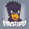 Pacbird