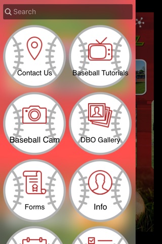 Desoto Baseball Orginazation screenshot 2