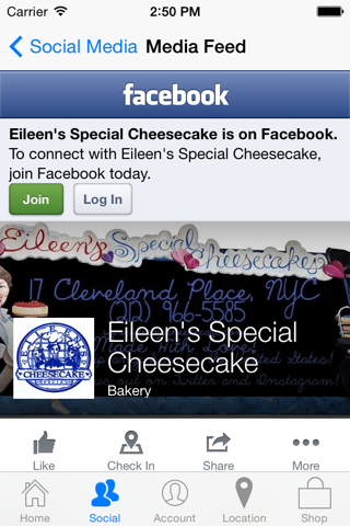 EileensCheesecake screenshot 2