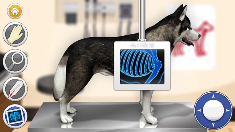 Pet Vet Doctor Dogs
