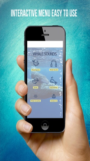 Whale Sounds For Relax(圖2)-速報App