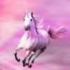 Rainbow Unicorn Wallpapers HD - Cool Pony Horses