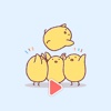 Little Chickens Story - Animated Gif Stickers
