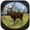 This hunting safari challenge is for professional hunters and shooters