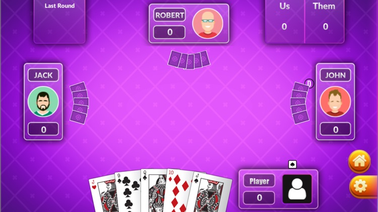 Euchre Game screenshot-3