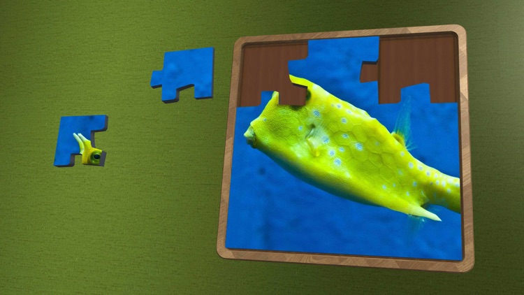 Super Jigsaws Marine Life