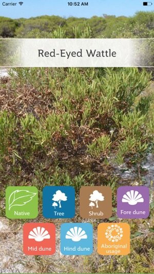 Coastal Plants(圖3)-速報App