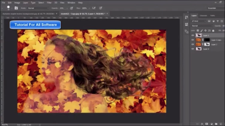 Easy To Use! Adobe Animate 2017 Edition screenshot-3