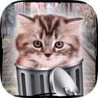 Top 50 Games Apps Like Hello cute cats – Kittens in the world & cat game - Best Alternatives