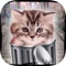Hello cute cats – Kittens in the world & cat game