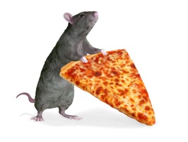 Pizza Rats