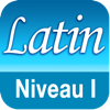 Latin étude de la langue I