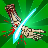  Anatomy Ninja Lower Limb Application Similaire