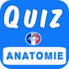 Questions d’examen d’anatomie