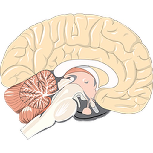 Brain Sticker Pack! icon
