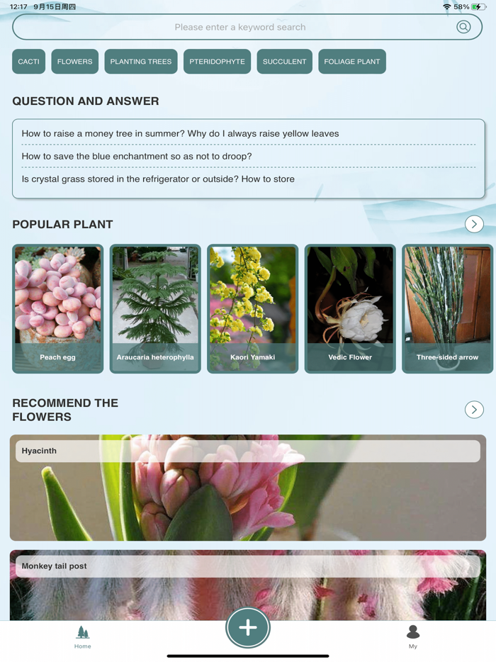 BMG - Blue Mist Garden