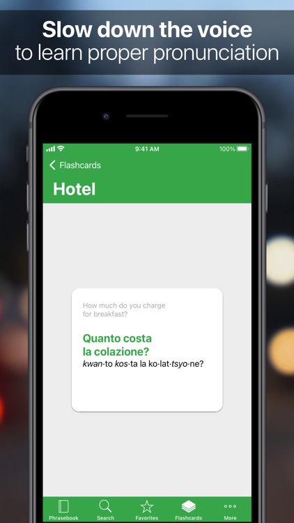 SpeakEasy Italian Pro screenshot-3