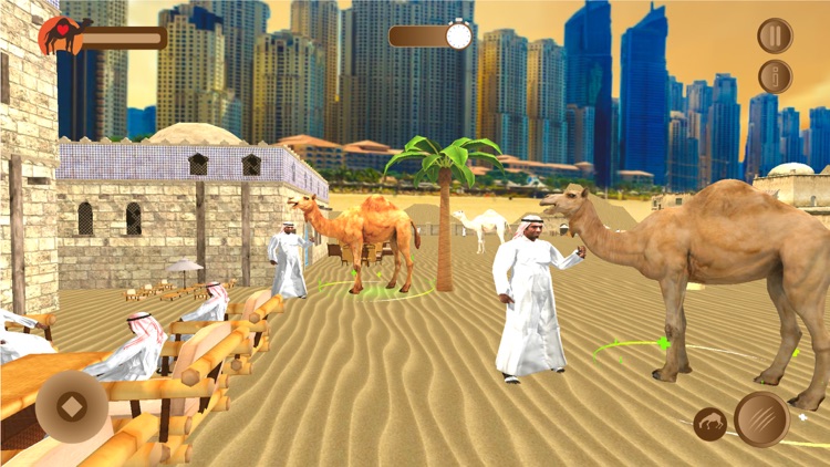 Dubai Desert Camel Simulator screenshot-3