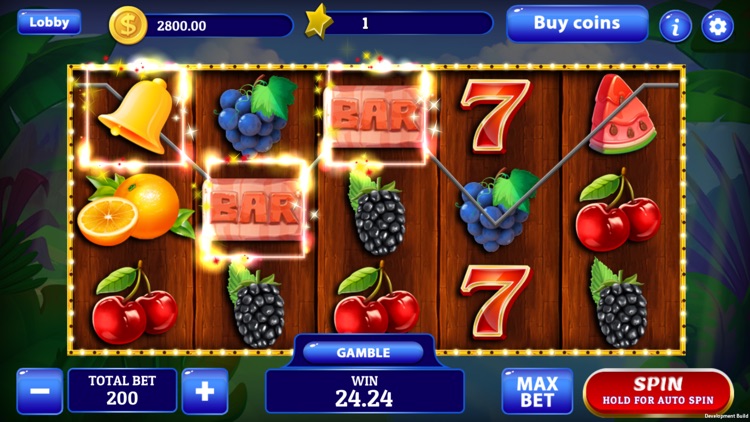 Slot Cash - Slots Game screenshot-3