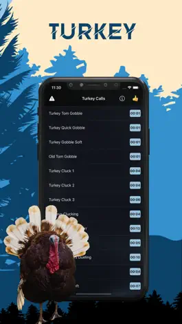 Game screenshot Turkey Magnet - Turkey Calls mod apk
